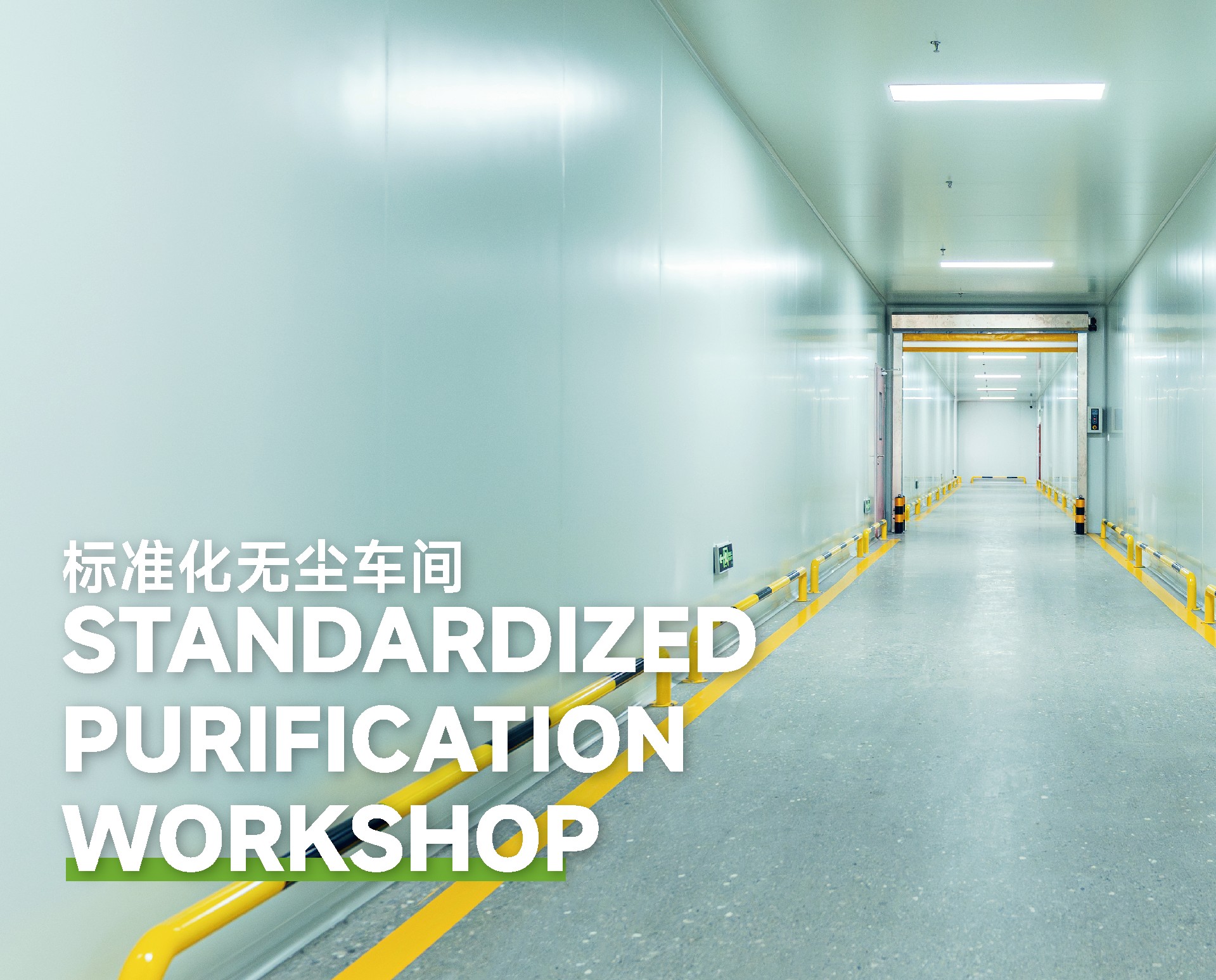 網頁修改 2026.02-02.jpg